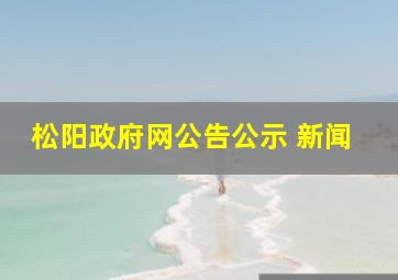 松阳政府网公告公示 新闻